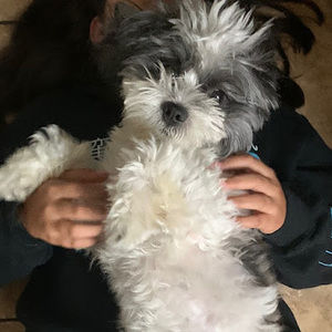 Meet your Posher, James